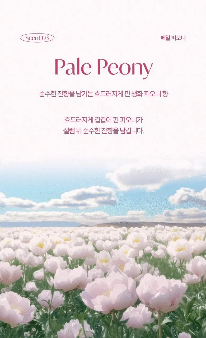 [핸드워시 증정기획] 라운드어라운드 센티드 핸드크림 50ml 상세페이지 17